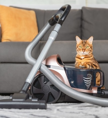 Gli aspirapolveri lavapavimenti sono diventati sempre più famosi tra gli utenti. Sono un ottimo aiuto soprattutto per igienizzare le superfici in presenza di animali domestici.